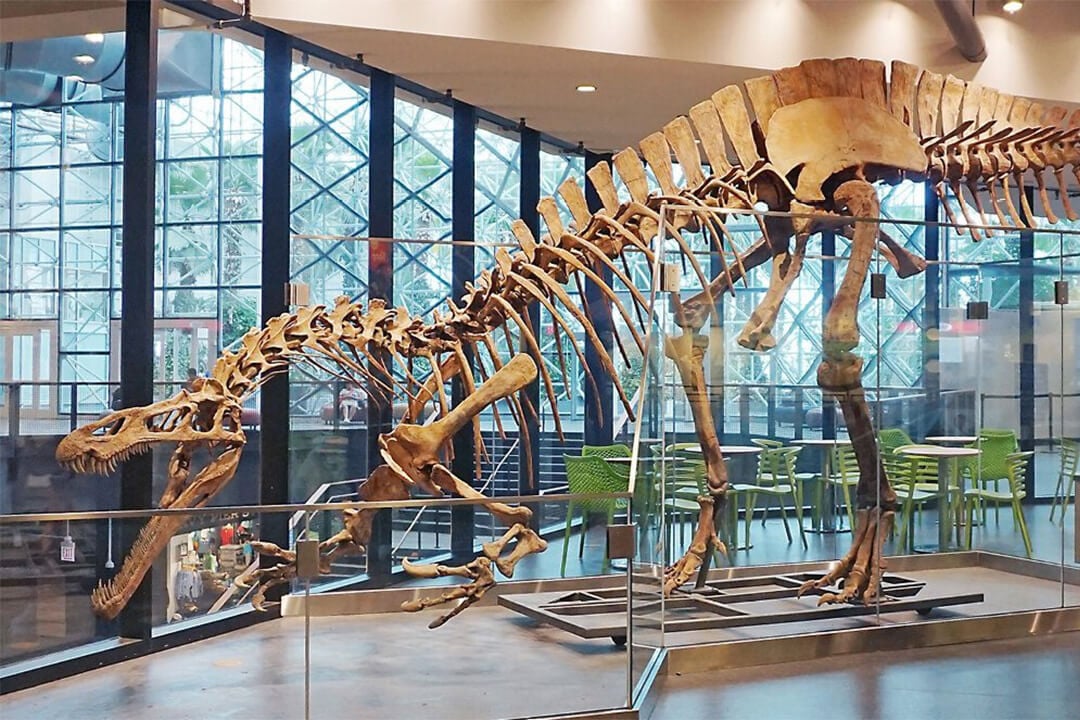 Museo Infantil de Chicago