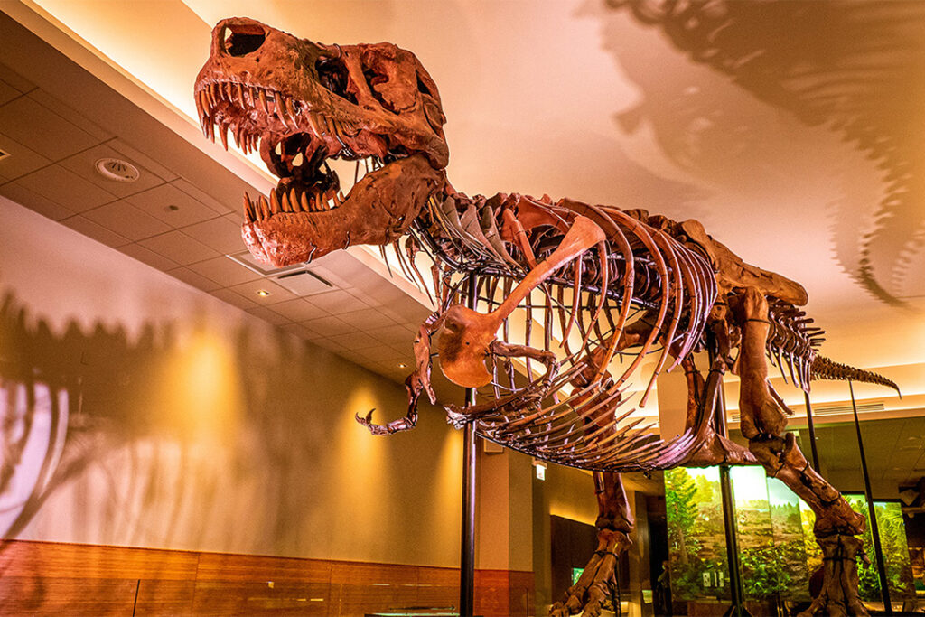 Field Museum
